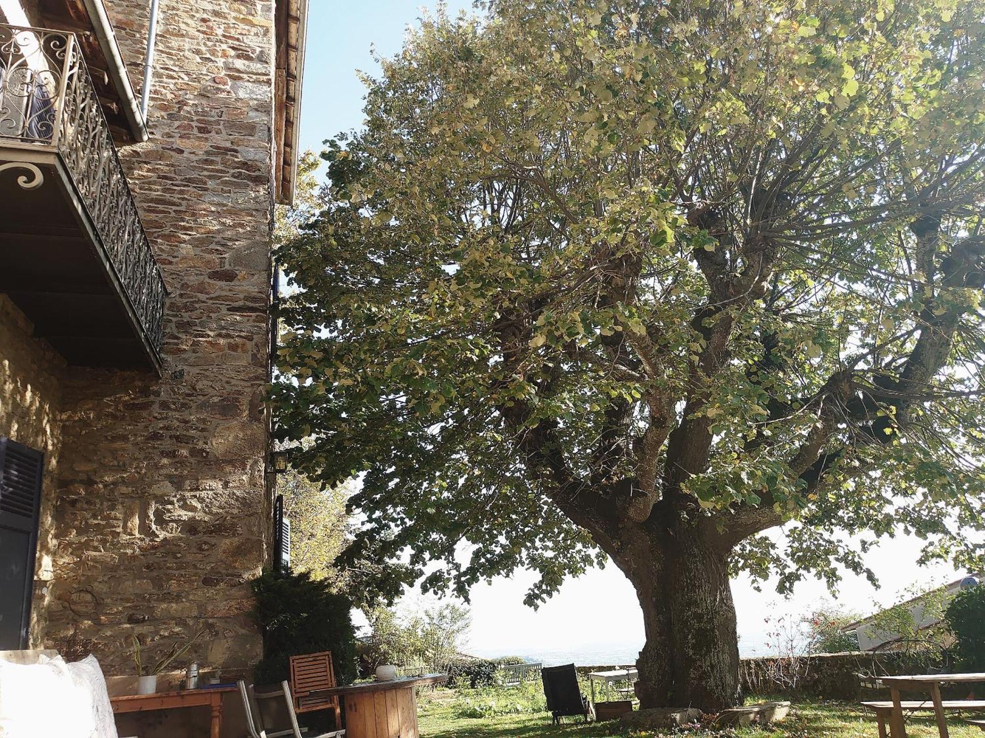 Chateau De Riverie Chambres Et Table D'Hotes Exteriör bild